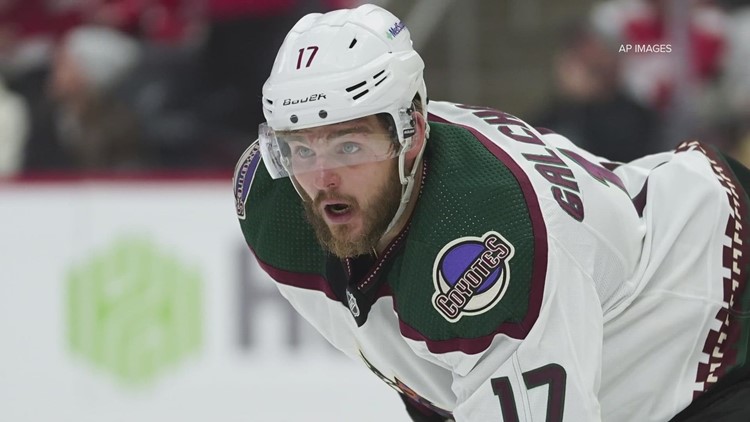 I will end your bloodline Scottsdale police report reveals new details of Coyotes player arrest