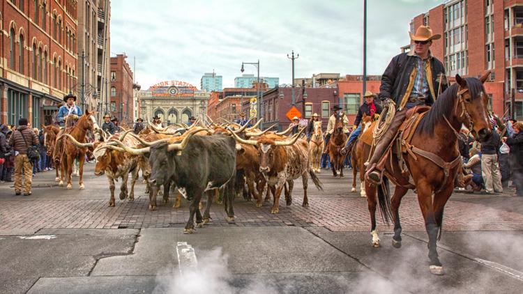 National Western Stock Show parade marches through Denver