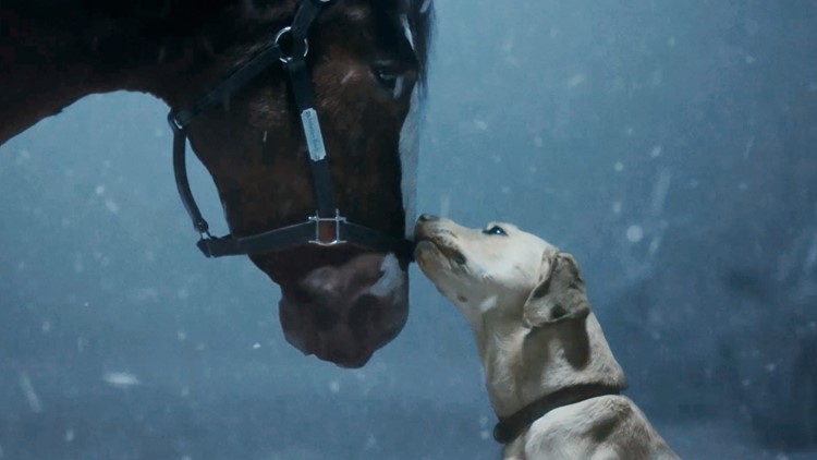 Budweiser unveils Super Bowl ad ahead of the big game