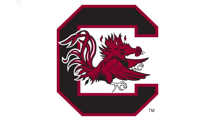 South Carolina pulls away from Georgia 72 62 behind Murray Boyles and Gray