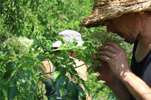 Finders eaters Foragers in Columbia are roaming a neighborhood near you