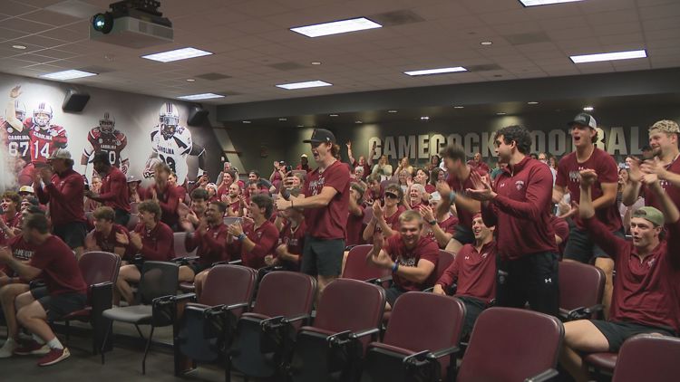 South Carolina baseball will open the NCAA Tournament in the Raleigh Regional