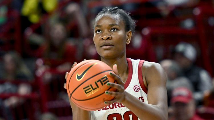 South Carolina womens basketball team lands Arkansas transfer forward