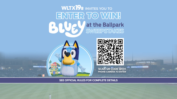 Enter to win Bluey at the Ballpark