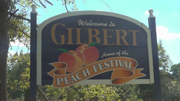 Gilbert considers getting police department