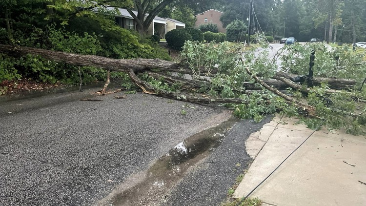 Fallen tree and live wires block Lexington road cutting power to 125 homes