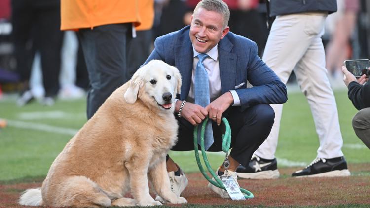 Kirk Herbstreits beloved viral sensation dog Ben has passed away after battling cancer