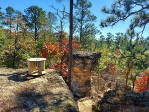 Want to experience geographic history of inland South Carolina Visit Peachtree Rock