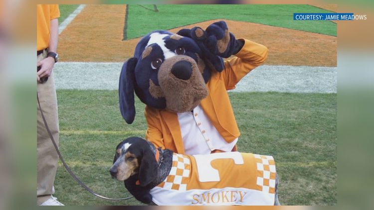 Ive kind of got some big shoes to fill | Knoxville teen hopes to follow in fathers footsteps and try out to be Smokey at UT