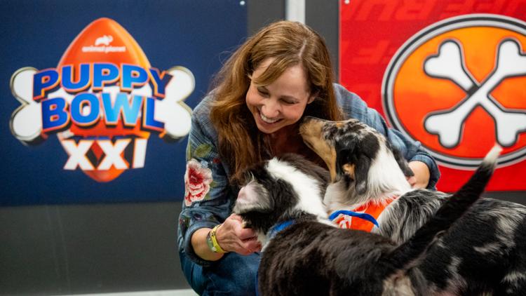 Meet the woman keeping the adorable pups happy at this years Puppy Bowl