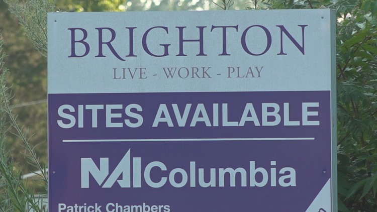 Special session to discuss Brightons diverse planning in Chapin