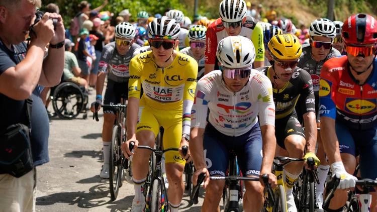 Tour de France stage 19 cut short due to cattle disease