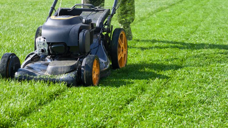 No mower No problem Town of Irmo now offers Loan a Mower Program