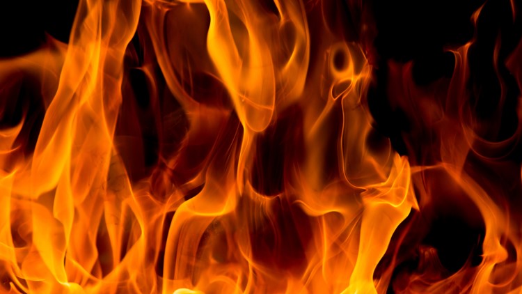 Late night Lexington County house fire leaves two displaced dog dead