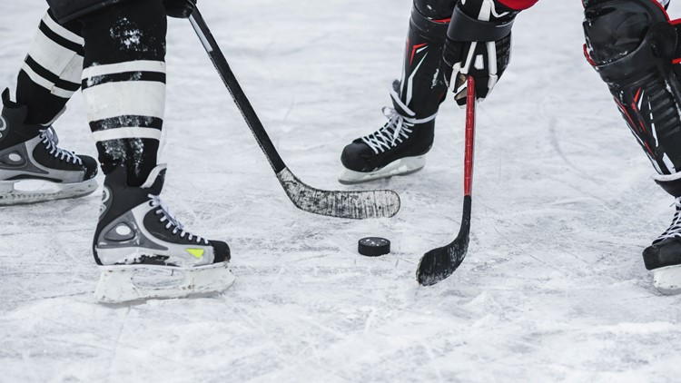 Stanley Cup playoffs start this weekend Here are the teams that made the cut