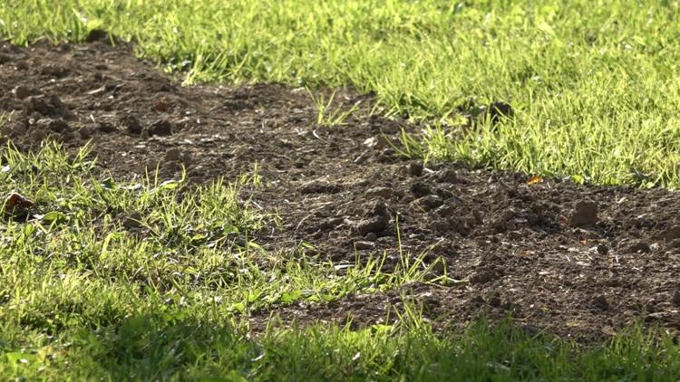 Lexington County offering septic repair grants for eligible residents