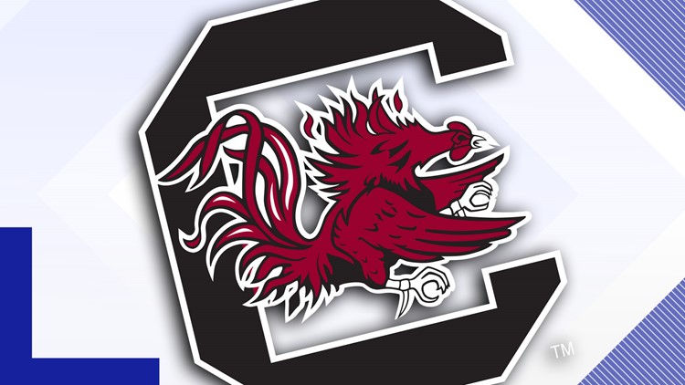 Lilios home run sparks South Carolina to a 7 4 win over Cal State Fullerton