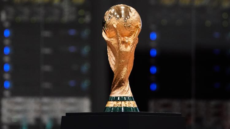 Who is FreddyLA7 German fan going viral as he travels across the US for the World Cup