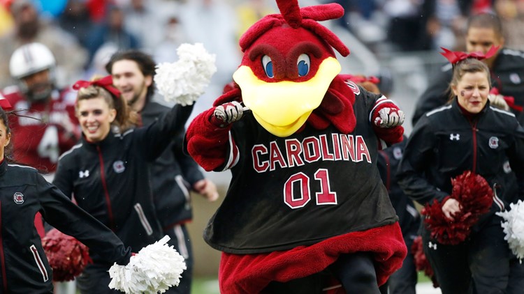 USCs Cocky elected to Mascot Hall of Fames 2026 class