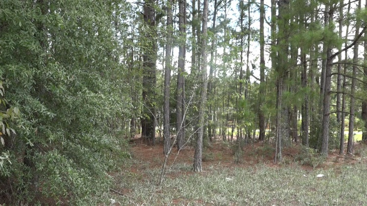 Orangeburg County plans new multipurpose park for community near Cannon Bridge Road